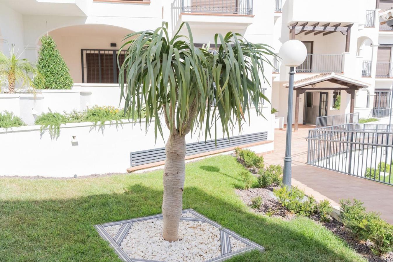 Todimer New Pueblo Mediteraneo Itrabo Luaran gambar